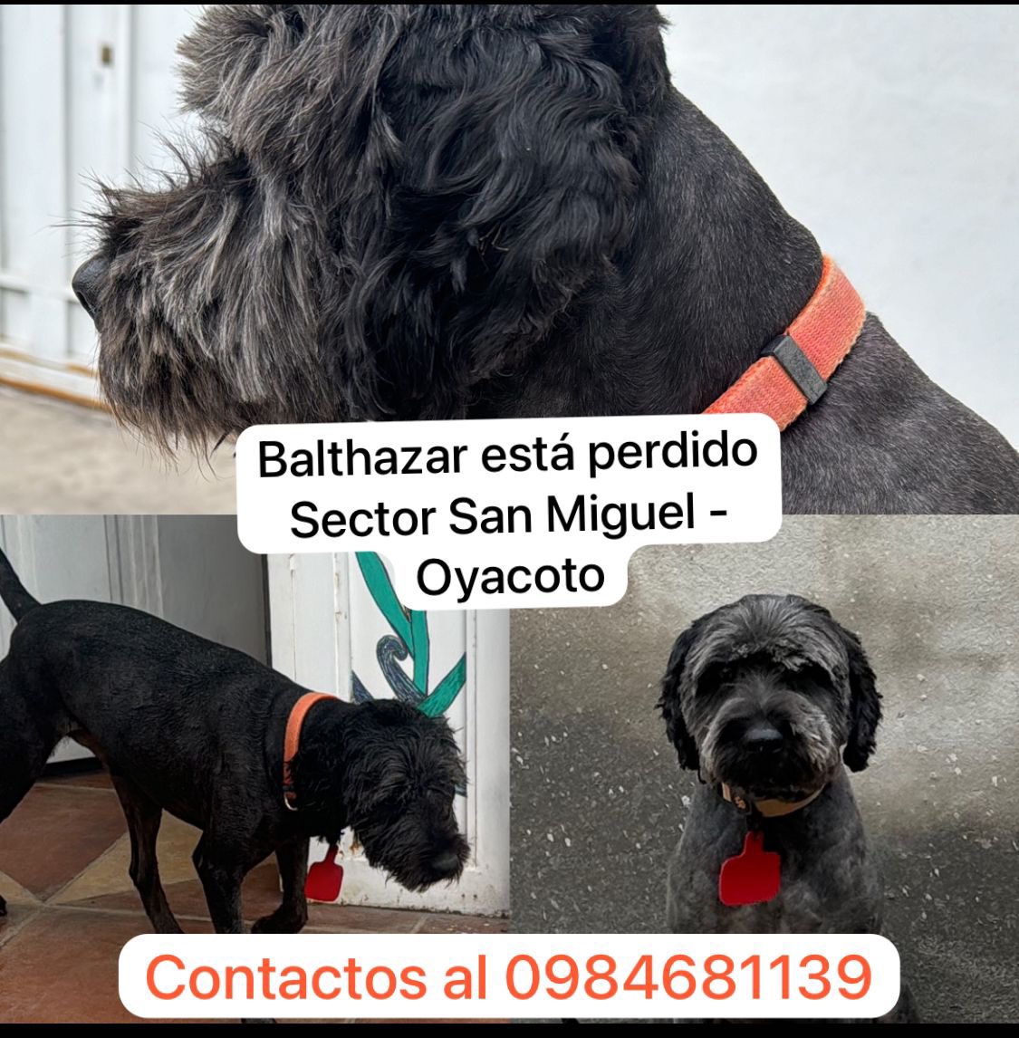 Por favor ayudemos a difundir