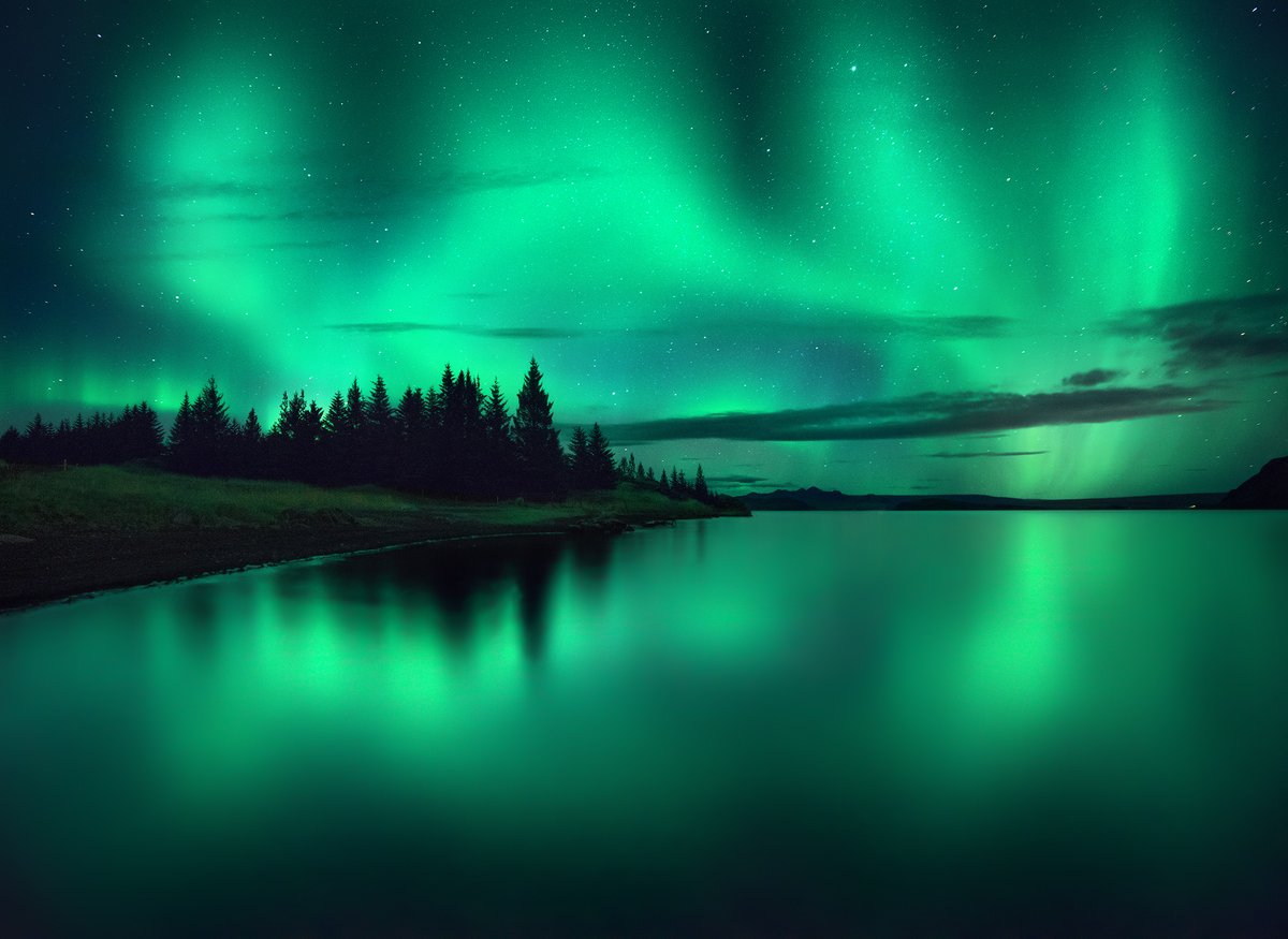 José Ramos tweet media