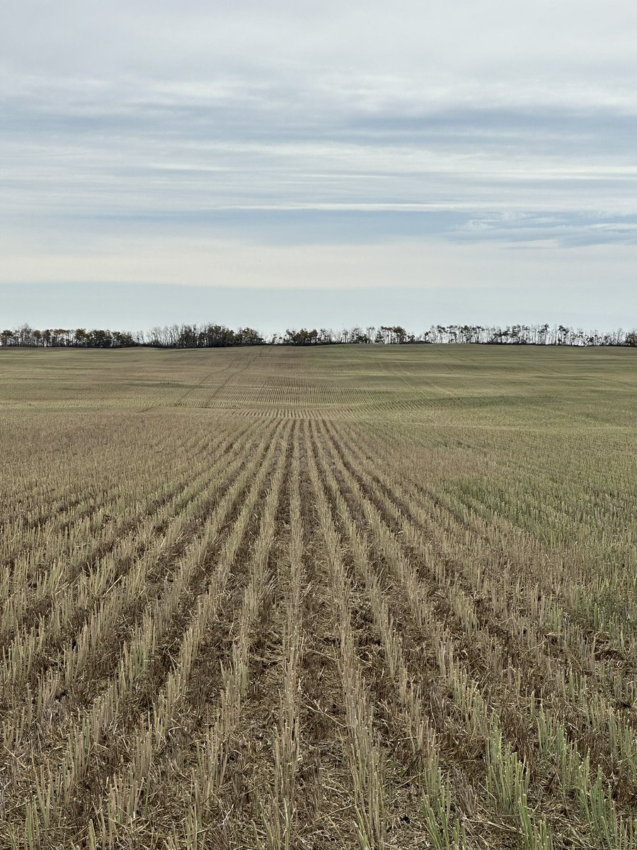 Spring is upon us and seeding is coming fast! LED lights, banjo fittings, nozzles, tillage tools, stainless steel parts, hoses, pumps, westward parts, yard equipment, and tractor sales!many items we can help you with or give a quote on! Call or text today 3066218352 or 3066214513