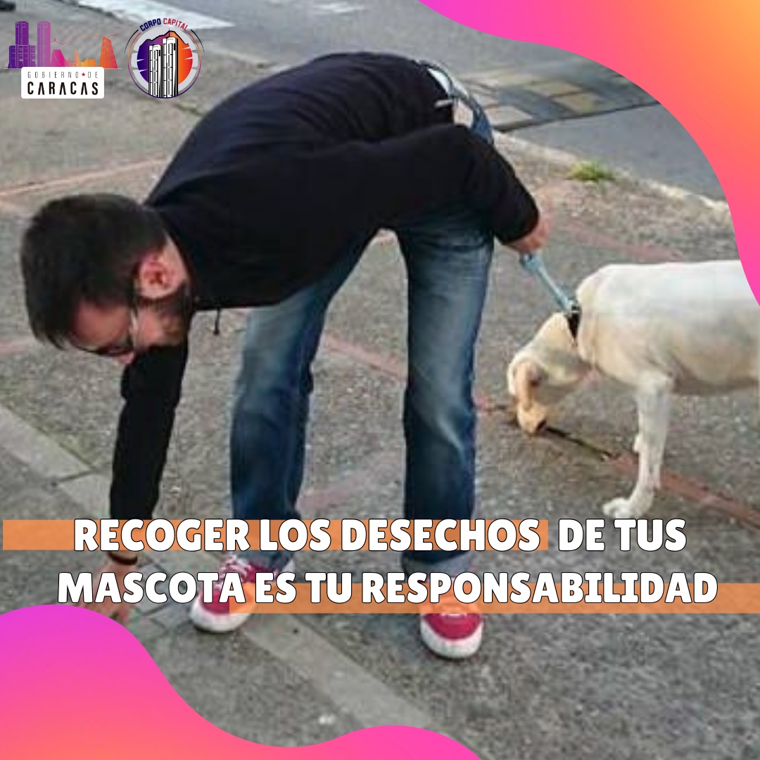 corpocapitalgdc's tweet photo. #6Abr #CorpoTips 🐶📷Si vives con mascotas en tu propiedad tienes una gran responsabilidad, por ello debes ser cuidadoso y responsable
Aquí te aconsejamos 📷 👇
#SomosPuebloHumanista https://t.co/lRoG53mvQC