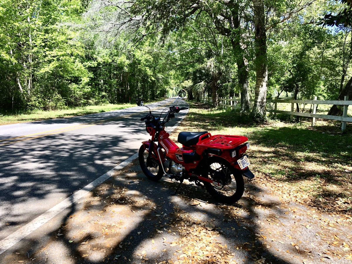 Out for a ride on PeeWee on this perfect spring day! 
#hondaminimoto
#hondatrailCT125
#peewee
#springtime
#coastalmississippi