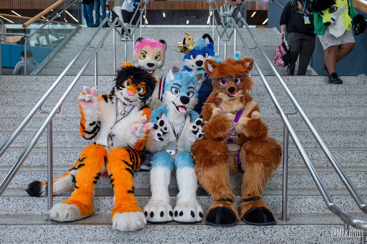 Here some pictures of my @wolf_daz siblings @ZephyrousFox @NuclearEngideer @Claud_Tiger @emosnowmew Happy #FursuitFriday #FC2024