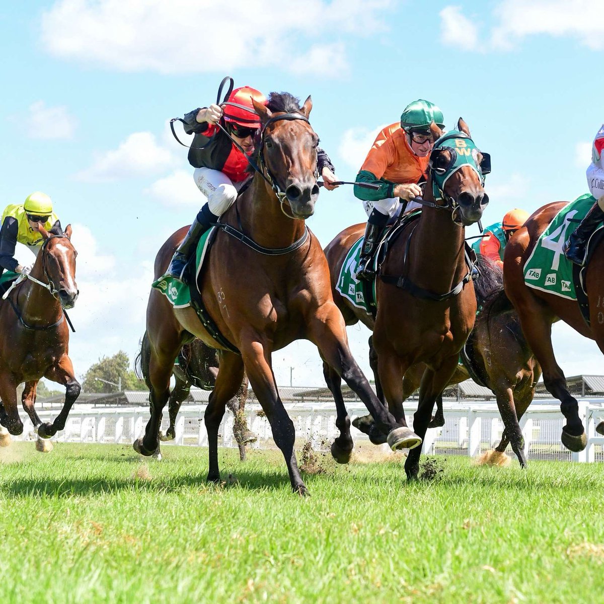 🎙️ 'Sat on speed and kept finding under pressure last start. Draws to get a good run in transit and should be hard to run down on this track.' Gibbo has found some value for today. Jump over to the Gibbo's Tips page now and check it out 👉 bit.ly/3ghsCjl