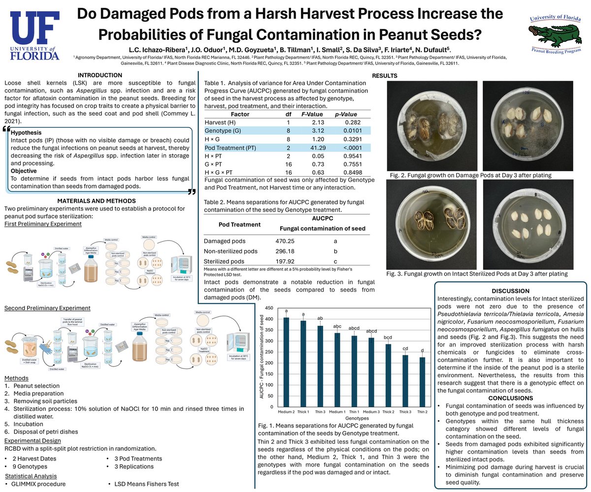 Camila Ichazo tweet media