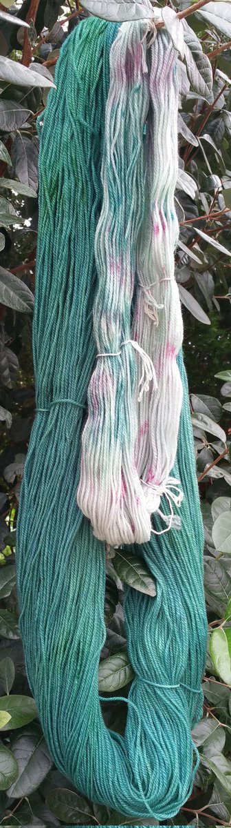 kb2bkb's tweet image. The blue green tones in this sock set would be tempting to use in a small shawl or scarf as well as lace or textured socks.
ebay.com.au/itm/3353350483…
#knitting #yarn #handdyed