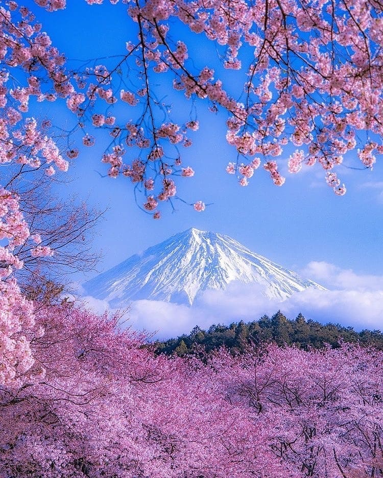 Mount Fuji Japan 🇬🇱