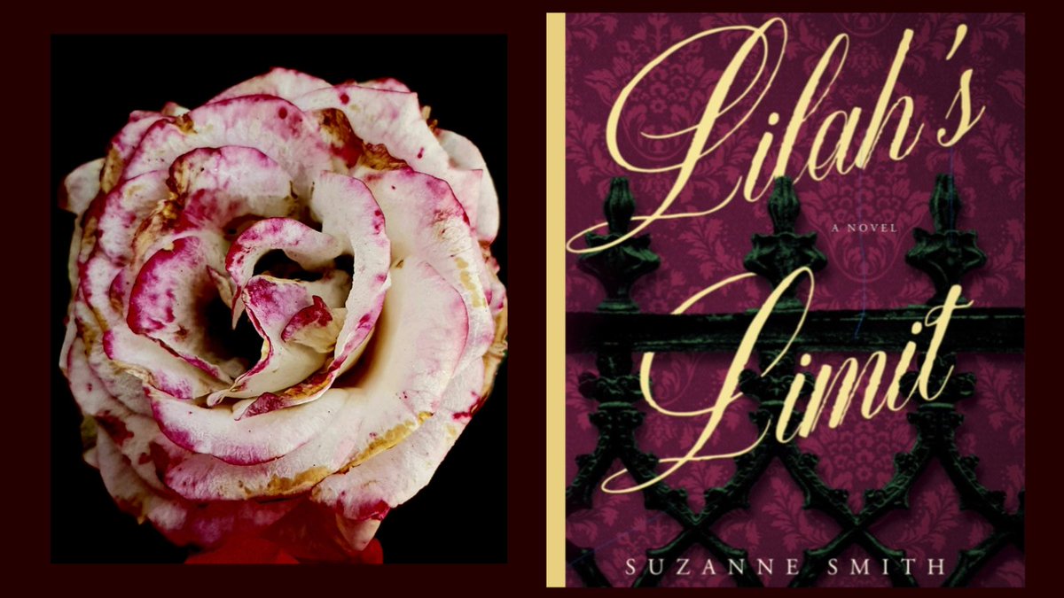 NEW RELEASE! 🎊 🎊🎊 In the mood for a Gothic-flavored romance? Read the book Kirkus Reviews calls “an atmospheric, intense amalgam of The Phantom of the Opera and Beauty and the Beast”. Amazon Link: a.co/d/ieXfxXs #NewRelease #booklover #Romance #gothic #bordello #whore