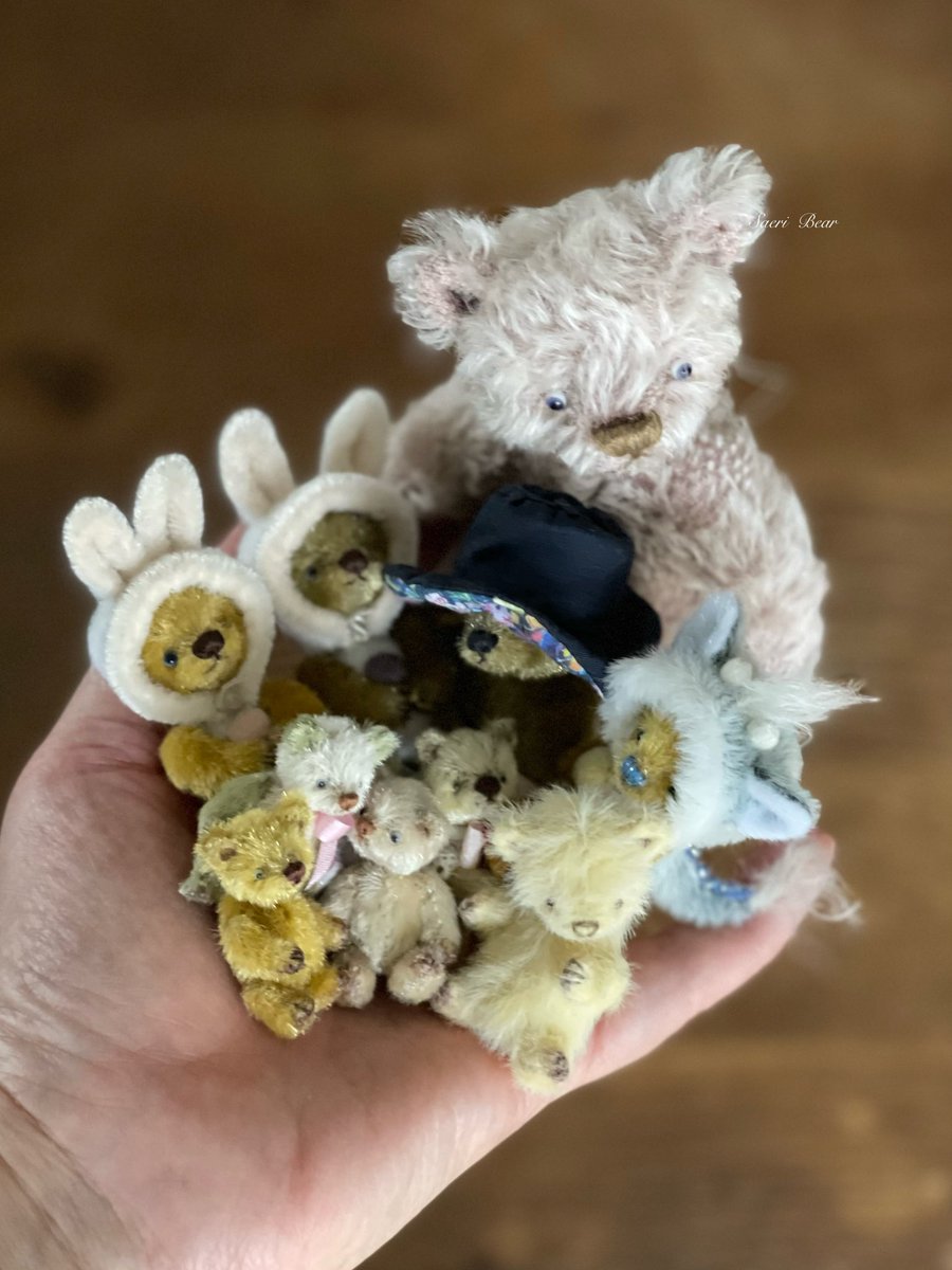 Saeri Bear (@sae_oma) / Posts / X