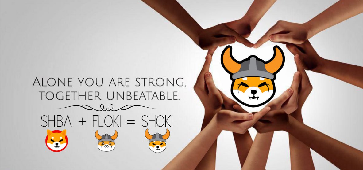 BOSSBABYRAIDER's tweet photo. @ShibSpain Time to send $SHOKI To Valhalla
@ShokiToken #SHOKIToken #ShokiArmy https://t.co/qGt26hluuB