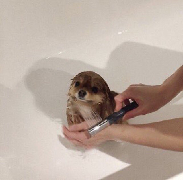 s44nti's tweet photo. cuando tengo el pelo mojado / cuando se me seca https://t.co/gGBs68L8MP