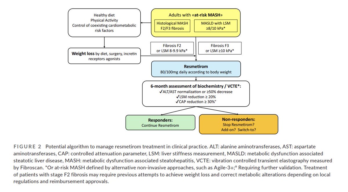 Henry E. Chang (@henryechang) on Twitter photo The first #MASH drug therapy on the horizon: Current perspectives of #resmetirom→jmp.sh/e1HVAF1H via <a href="/salvatore_petta/">Salvatore Petta</a> <a href="/stefano_romeo76/">Stefano Romeo</a> <a href="/PajvaniLab/">Utpal Pajvani</a> <a href="/MinghuaZheng/">Minghua Zheng</a> <a href="/AghemoAlessio/">Alessio Aghemo</a> <a href="/lucavalenti75/">Luca Valenti</a> <a href="/LiverInt/">Liver International</a> #MASLD #NAFLD #NASH #livertwitter The first #MASH drug therapy on the horizon: Current perspectives of #resmetirom→jmp.sh/e1HVAF1H via <a href="/salvatore_petta/">Salvatore Petta</a> <a href="/stefano_romeo76/">Stefano Romeo</a> <a href="/PajvaniLab/">Utpal Pajvani</a> <a href="/MinghuaZheng/">Minghua Zheng</a> <a href="/AghemoAlessio/">Alessio Aghemo</a> <a href="/lucavalenti75/">Luca Valenti</a> <a href="/LiverInt/">Liver International</a> #MASLD #NAFLD #NASH #livertwitter