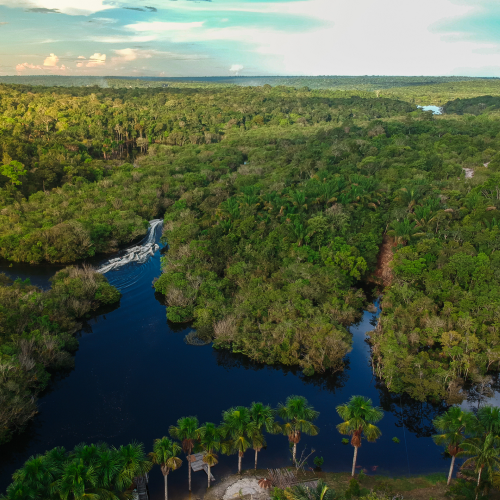 Massive Ancient Cities of the Amazon! More here: charlespolanski.com/2024/04/05/mas… image source: Amazon forest photo by Phaelnogueira on Canva: canva.com/photos/MAFmRE9…