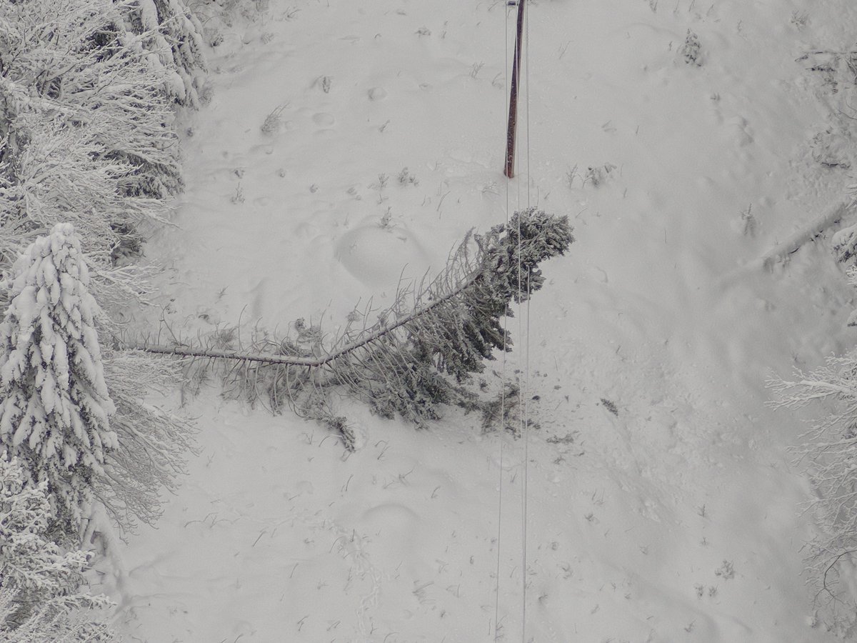 GreenMtnPower's tweet photo. Storm Update: Crews are making a lot of progress after the high winds and devastating heavy wet snow hit #vt and the entire northeast.
They have restored power to 81,000 customers, with about 3500 to go. 🧵⬇️ 1/2 https://t.co/EozFT6fkTc