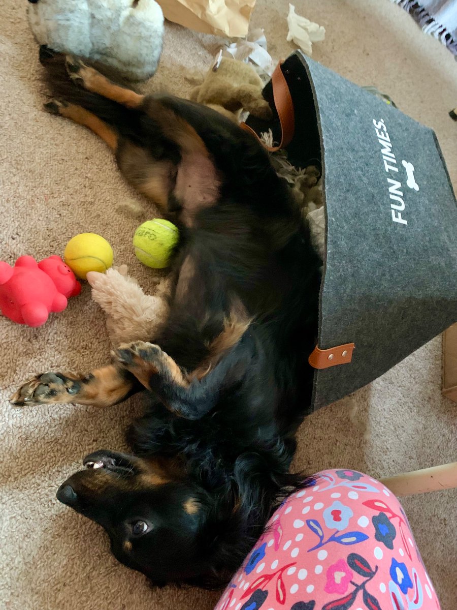 Sarah B. tweet media