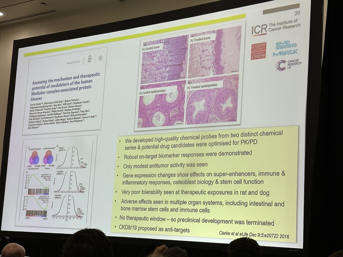 Next up at the #AACR24 educational session, Paul Workman works through some nice examples of appropriate qualification of chemical probes. Nice story around CDK8 & CDK19.