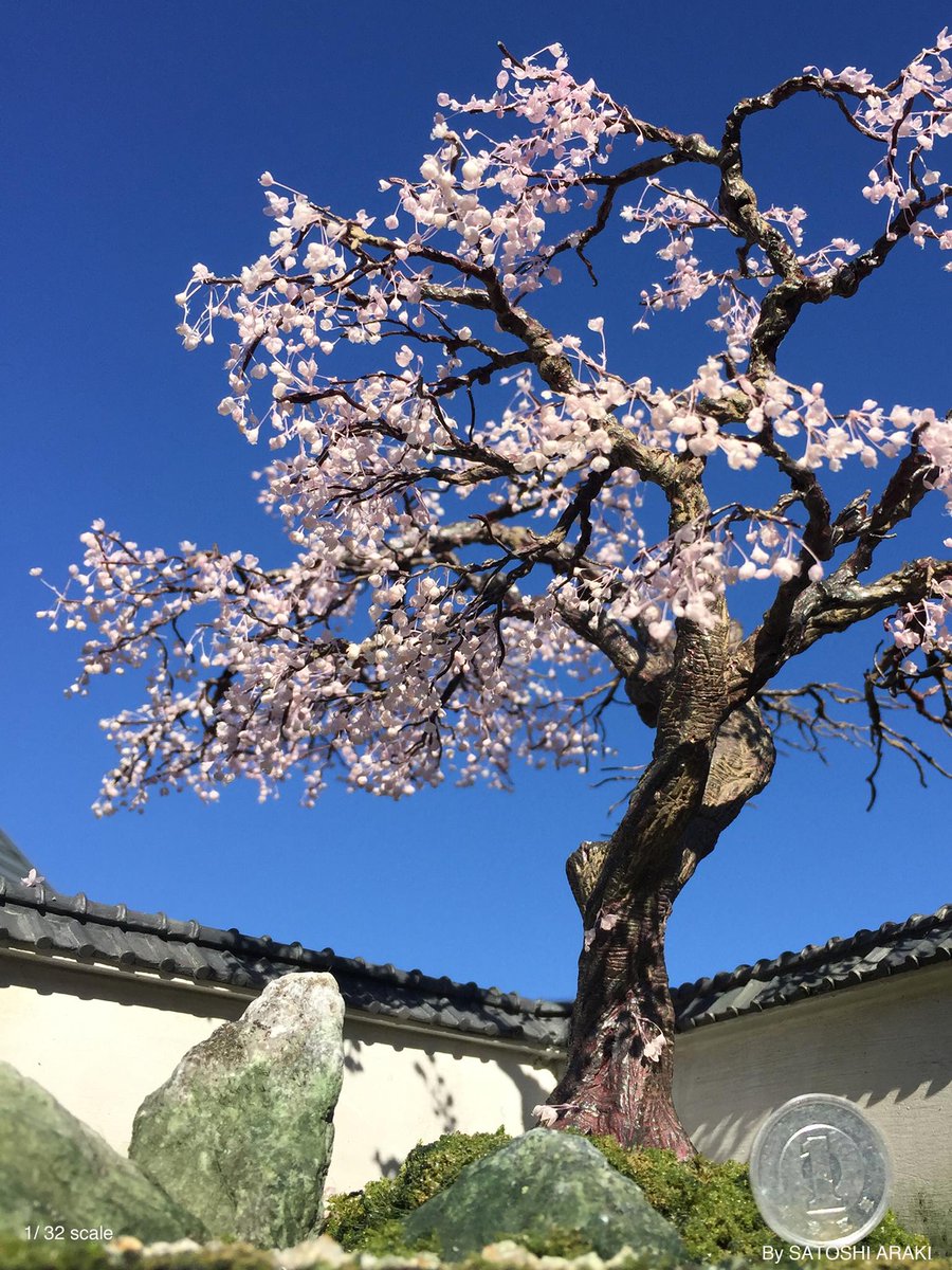 【桜満開】  

東京は満開になったけど、なかなか晴れません。。。。  

#ジオラマ