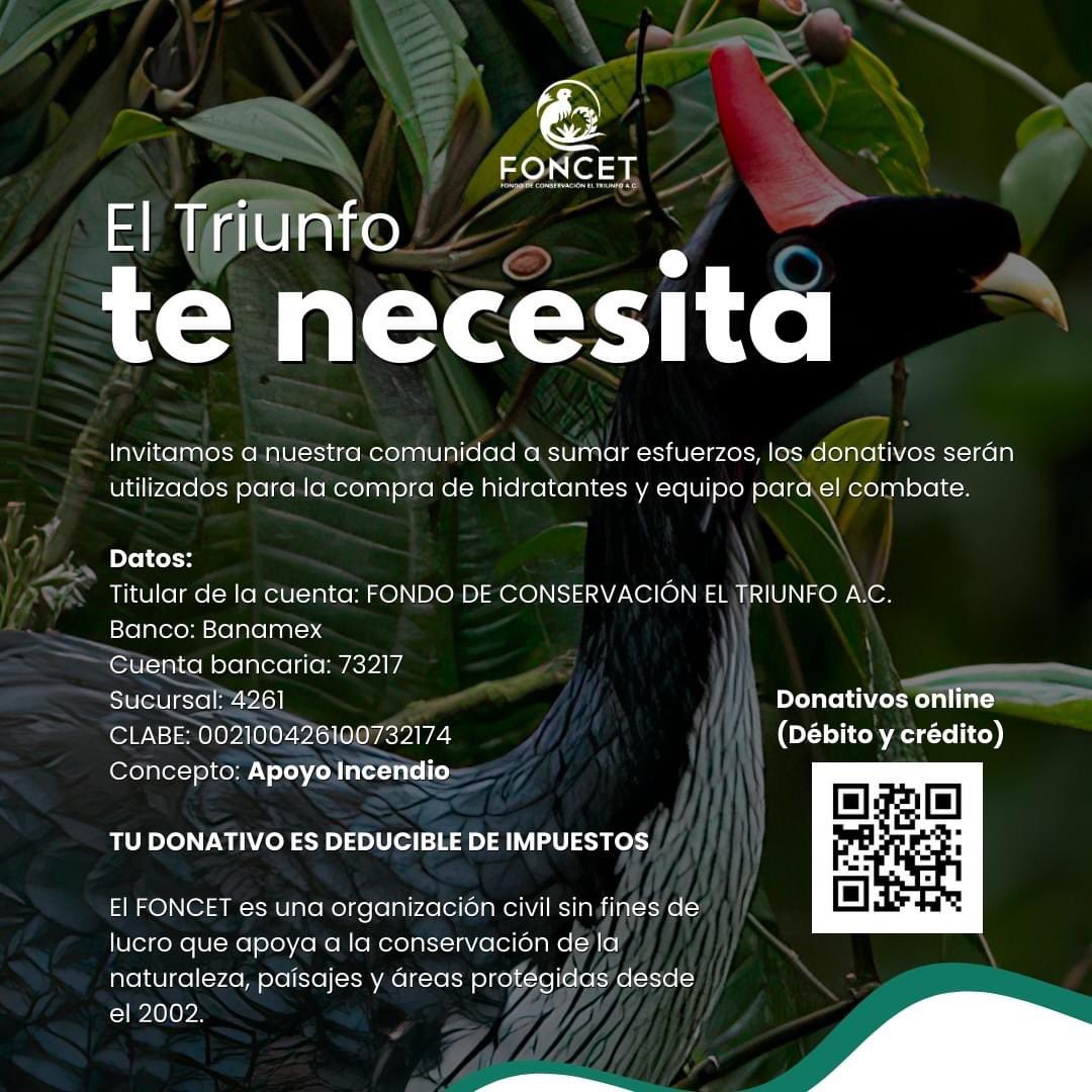 acic23's tweet photo. Apenas se lleva el 50% del incendio controlado. 
Aún necesitamos de su ayuda, todo suma 🙏🏽. 
Salvemos al último remanente de bosque de niebla de México, el bosque más mágico del mundo, ubicado en la Sierra Madre de Chiapas. https://t.co/pqZ5cKFFFn