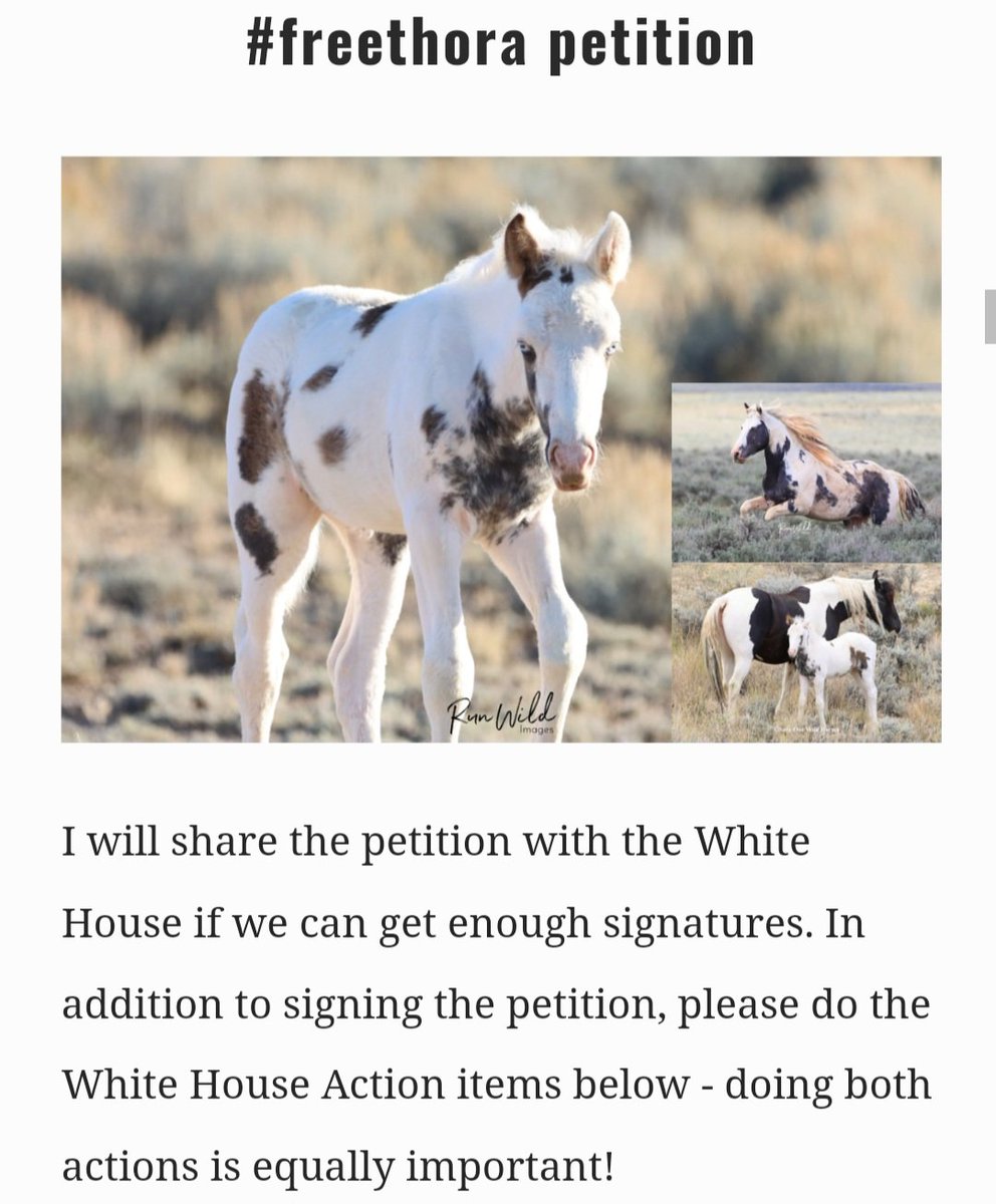 saveourwildhorses.net/index.html?fbc…