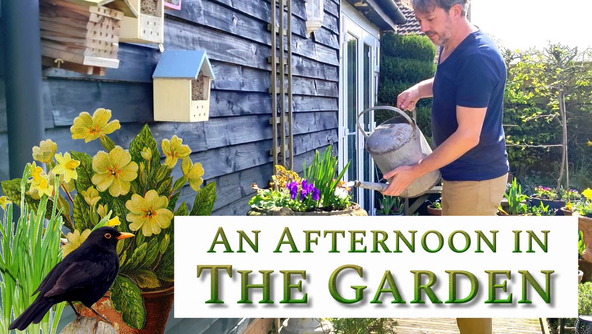 I make videos now, after an upload went viral I thought it might be a good idea to make some more and it seems it was. This is the newest one youtu.be/tRbqcfU4mcA #gardening