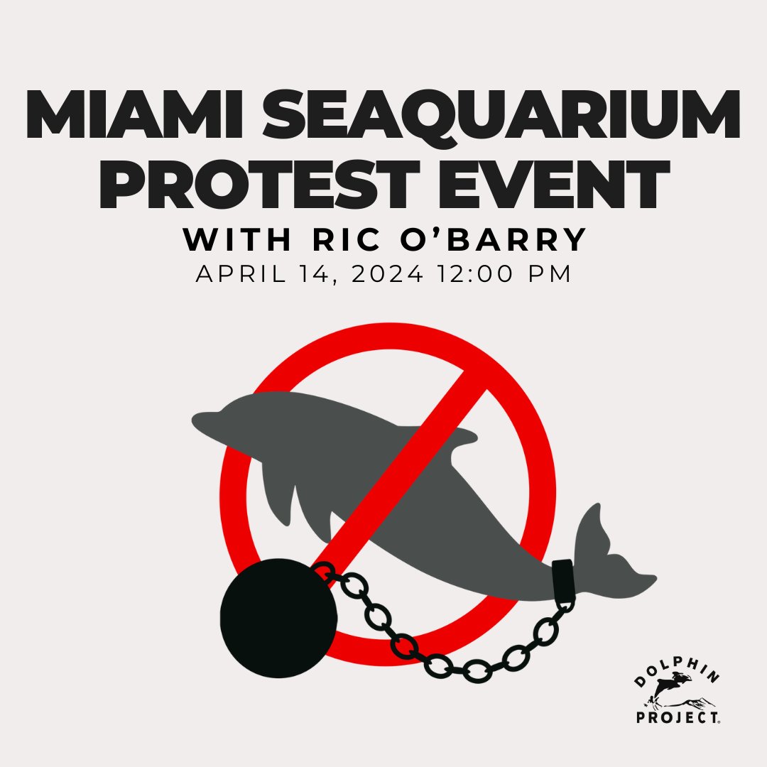 Please join us and @richardobarry outside of Miami Seaquarium on April 14, 2024 at 12:00pm (EST) 📢🐬 RSVP and event details at: fb.me/e/3xqEiAiqr #DolphinProject #ThanksButNOTanks