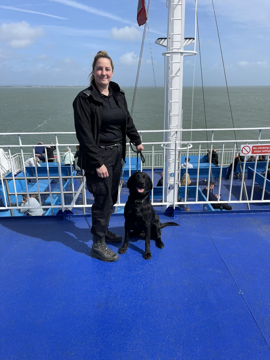 Another huge congratulations goes to PDD Bobby and his handler on passing thier initial license also at @HMPIsleofWight. They will be working at @HMP_Woodhill. Photo of Bobby enjoying the ferry back to the mainland. 👏👏👏 #hmpps #MOJ #workingdogs