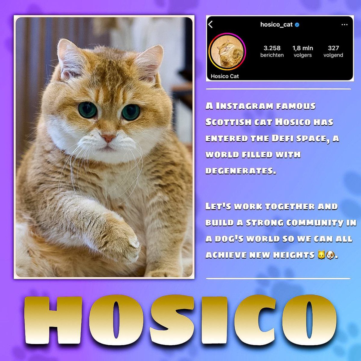 <a href="/patty_fi/">PattyIce</a> <a href="/beaniemaxi/">Beanie</a> 1.8m followers $hc Hosico