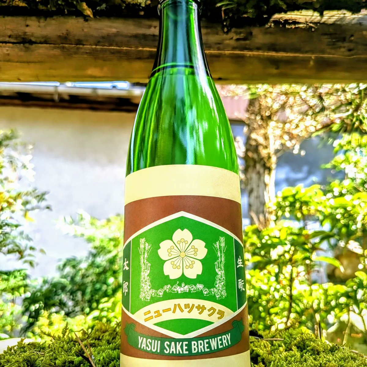 安井太郎-生酛太郎-安井酒造場 (@more_taro) / Posts / X