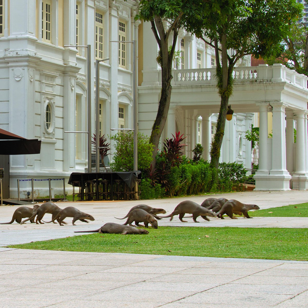 BBC Earth tweet media