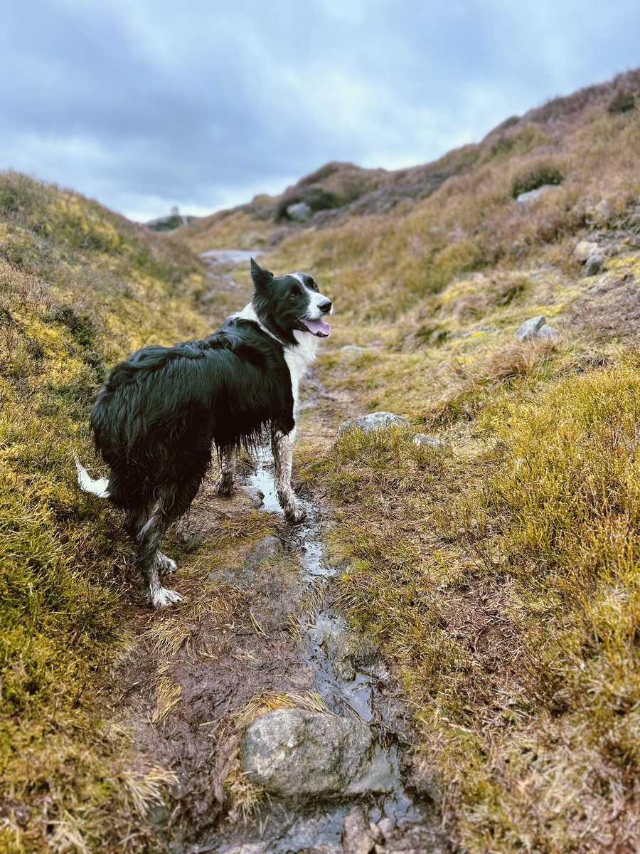 Forever grateful for pals & Glen who convince me I need walks. I love walking but often get sucked into long days and start burning out.