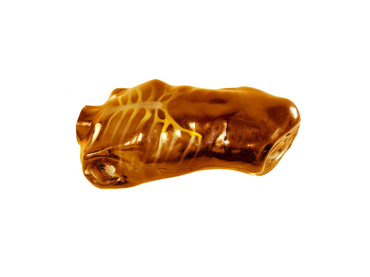 tpslab's tweet photo. Master the art of ultrasound imaging with our Adult FAST Torso phantom! Designed for FAST protocol training, this lifelike tool replicates trauma scenarios with precision. #ultrasoundsimulation #medicaleducation https://t.co/dFmTTKxXVZ