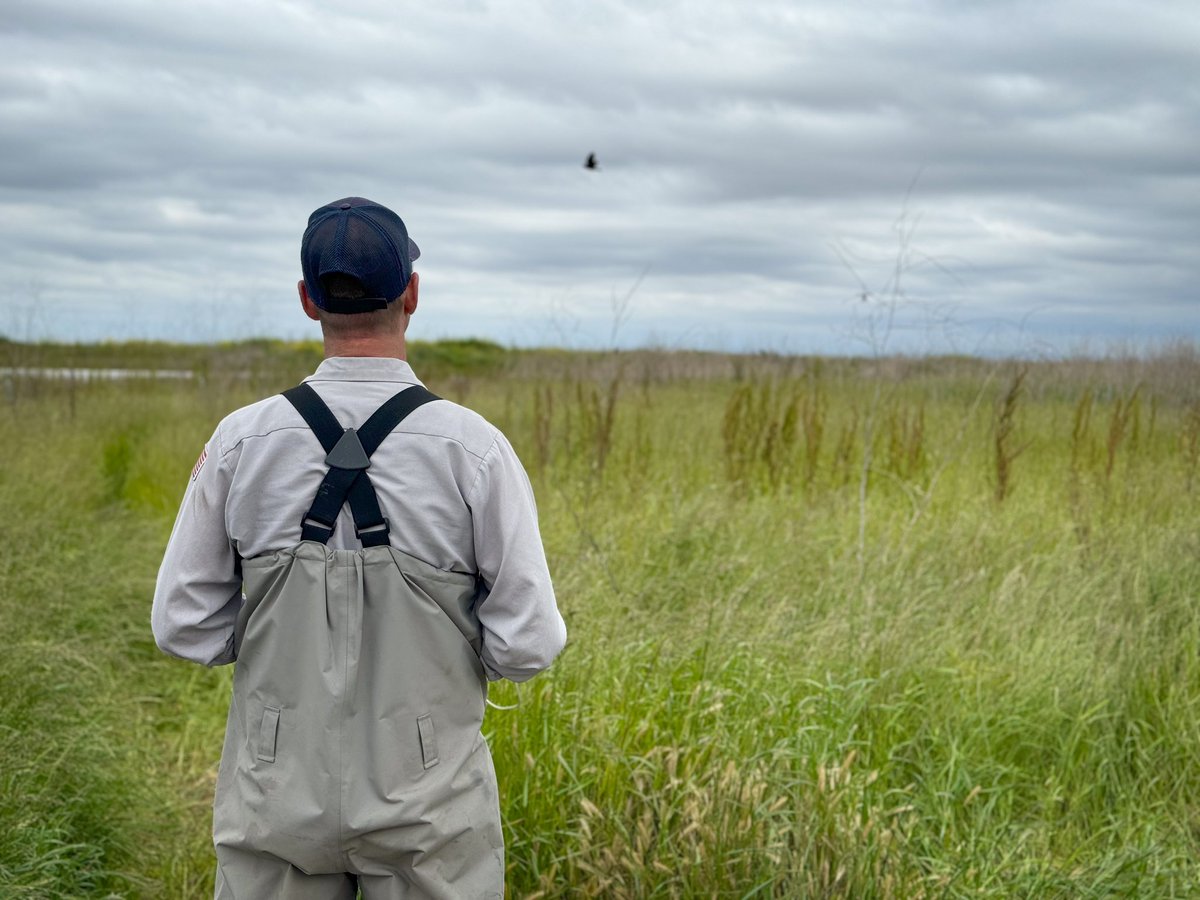 OCVector's tweet photo. Check out our UAS (Unmanned Aerial System) pilot! This drone is used to treat areas that are difficult to access by foot. 

Can you spot the drone in the first photo?👀
#drone #treatment #pilot #uas #mosqutioessuck #fightbackoc https://t.co/FmZU24xAu2