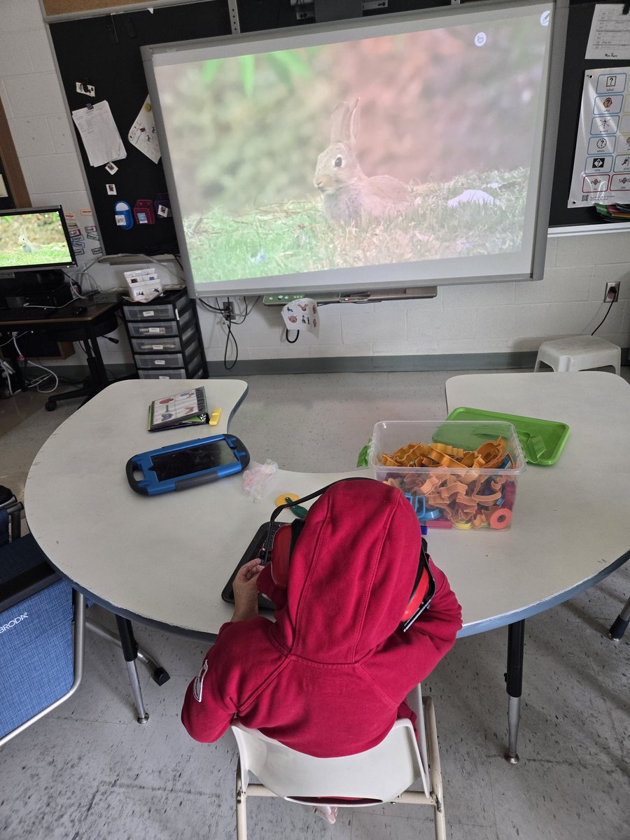 Mrs. Alexander tweet media