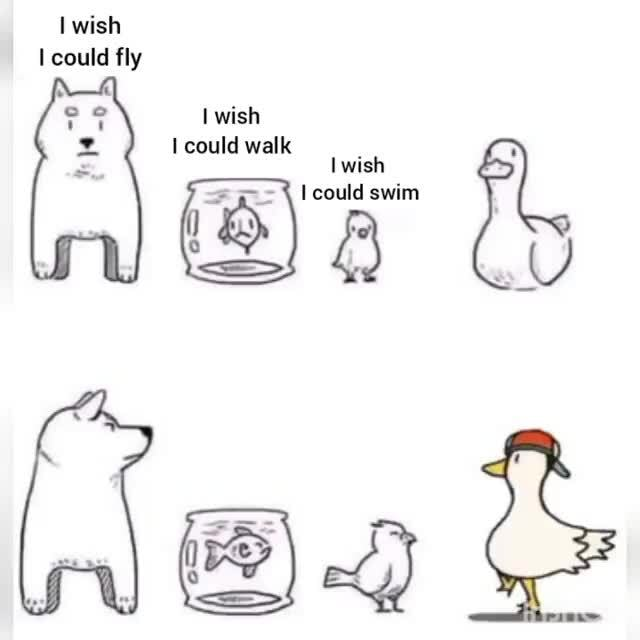 Flying Ship Company tweet media