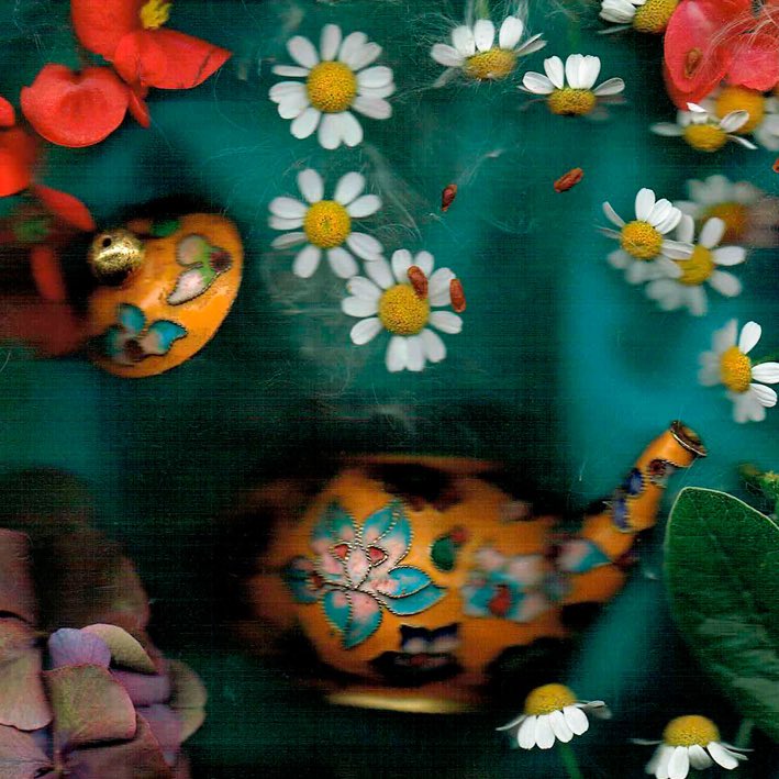 Celeste Sterling tweet media