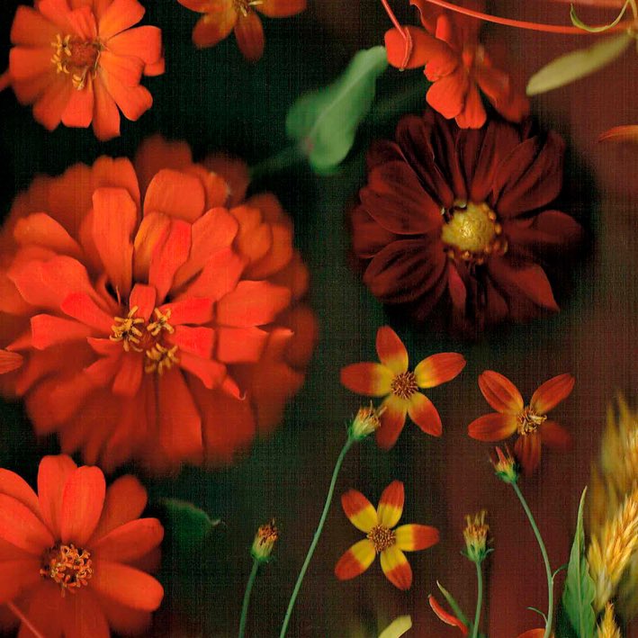 Celeste Sterling tweet media