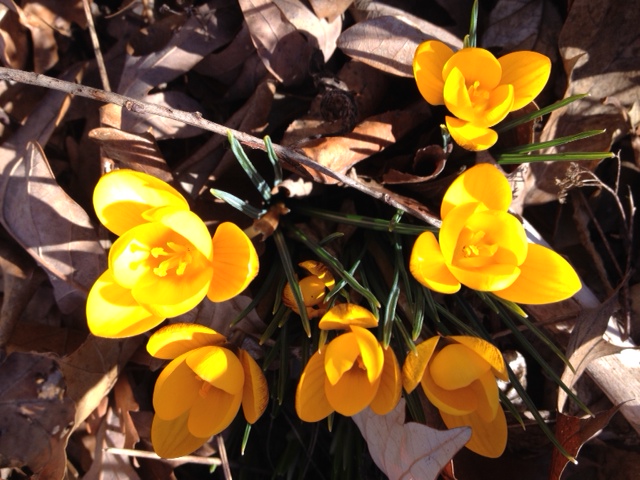 Palos Park E-News is out now! conta.cc/3vIwCav