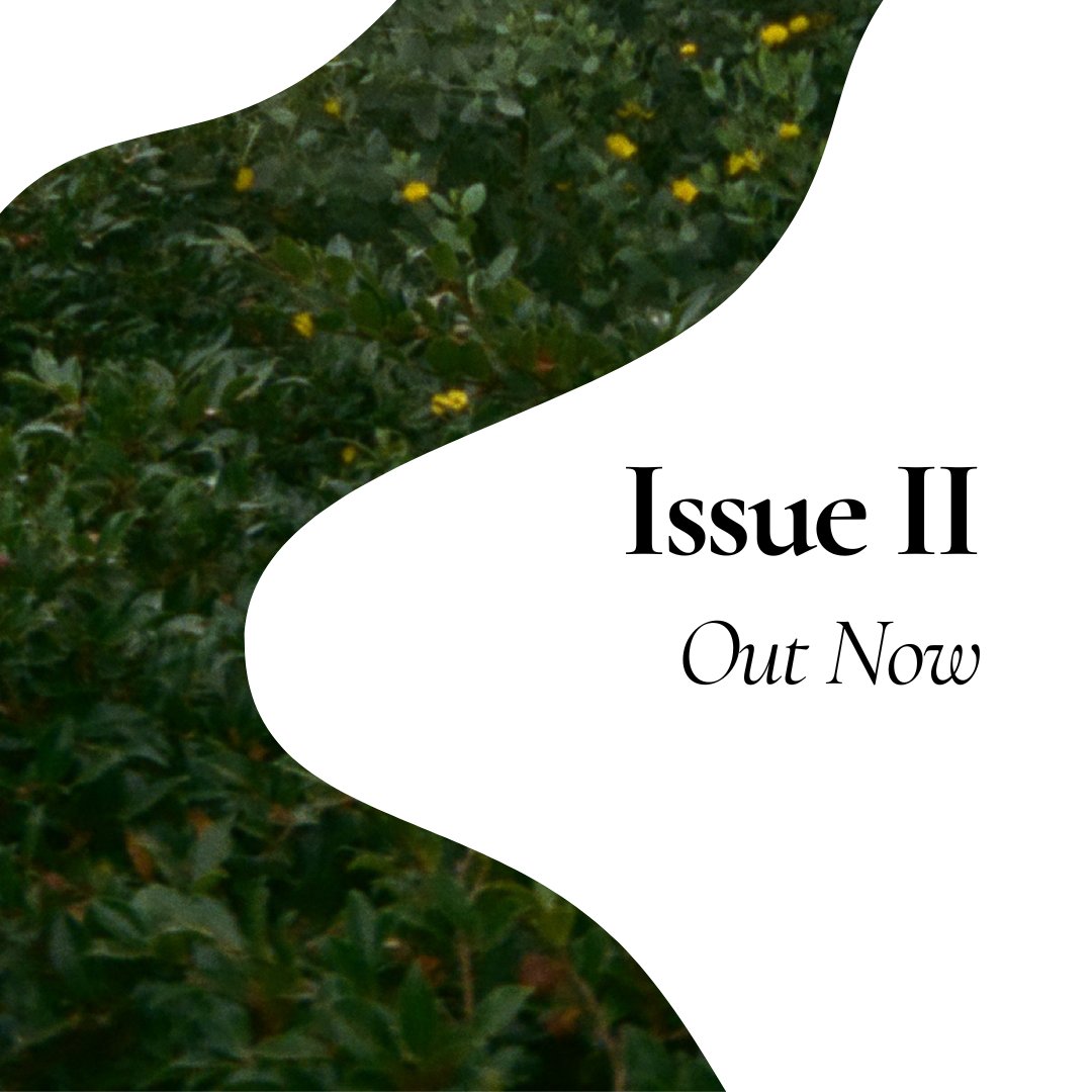 Our second issue is out NOW! Go read it at the link below! lastsyllablelit.com/issue-ii