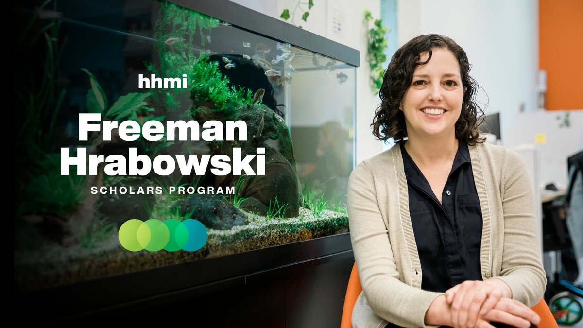 ✨ATTN: Early career faculty scientists!✨ Interested in applying to the Freeman Hrabowski Scholars Program, but missed the informational webinar? Don't worry! Check out the recording and learn about the application process and eligibility requirements: hhmi.news/3IPm6kw👈