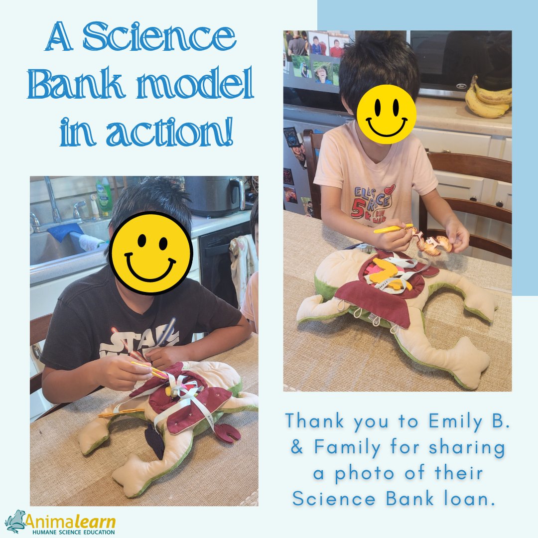 We love seeing The #Science Bank models in use! We're so happy to provide humane resources to #teachers & #parents. #humanescience #humaneeducation #scienceeducation #animalearn #lifesciences #anatomy #biology #scienceteachers #sciencetwitter #teachertwitter #edutwitter #k12