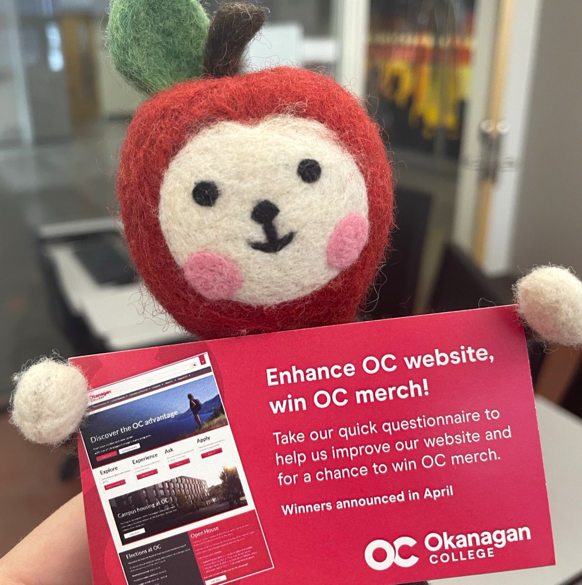 Ringo would like to invite you to give your feedback on the OC website for a chance to win some fantastic OC merch! 🍎💻 Complete the survey here: surveymonkey.com/r/OkanaganQues…