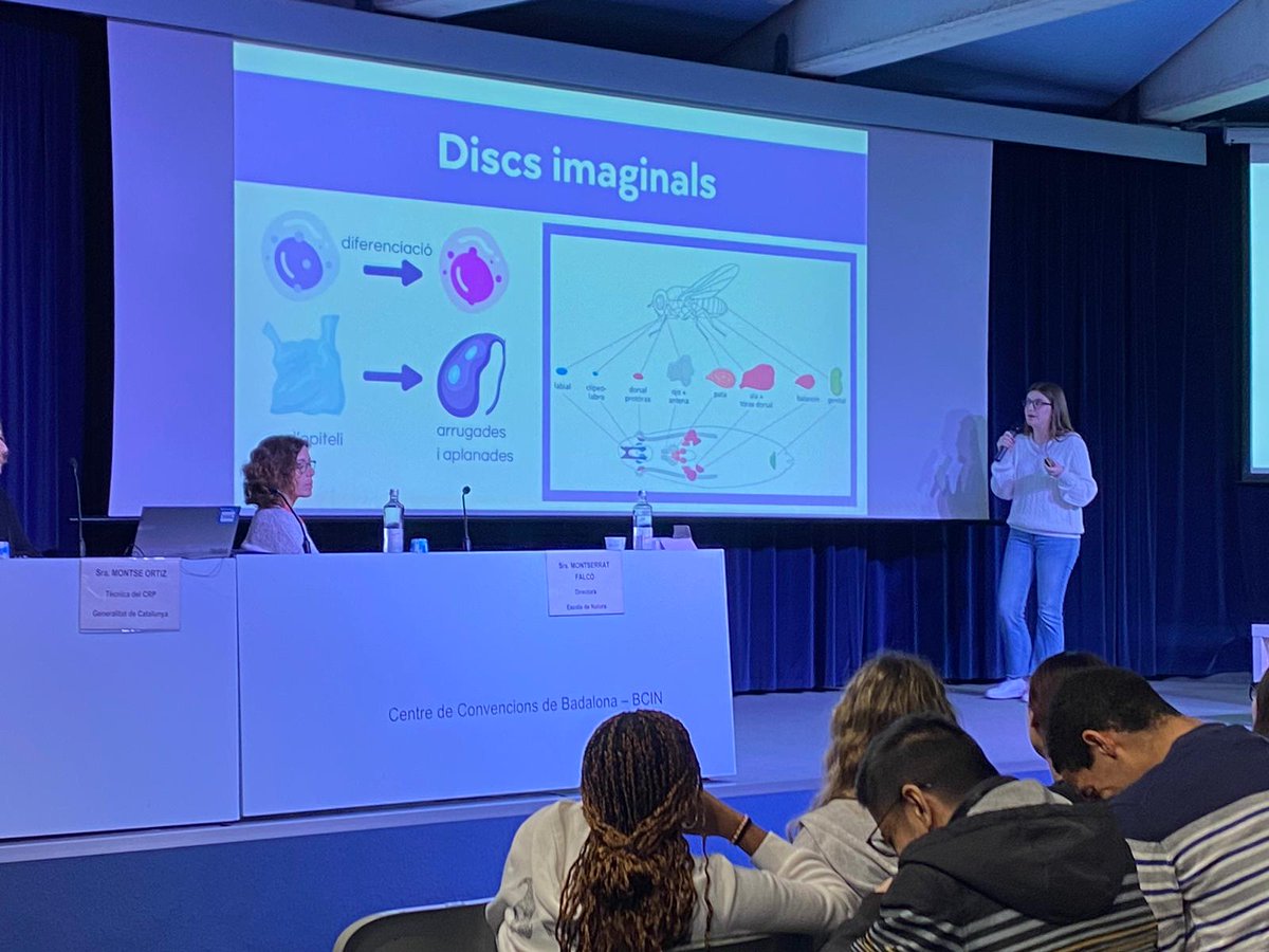 standreu's tweet photo. Avui la nostra escola ha participat a les Jornades Científiques de Batxillerat: els alumnes David Da Silva, Mireia Cervera i Anna García han exposat els seus treballs de recerca a l'auditori. #2BAT https://t.co/51cTbsp6RU