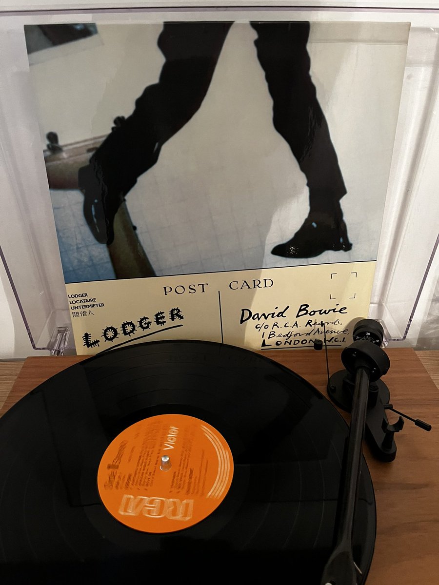#DavidBowie #Lodger #BrianEno #TonyVisconti #DennisDavis #GeorgeMurray #CarlosAlomar #SeanMayes #AdrianBelew #vinylrecords #vinylcollector #vinylcollection #vinylcommunity #vinyladdict
