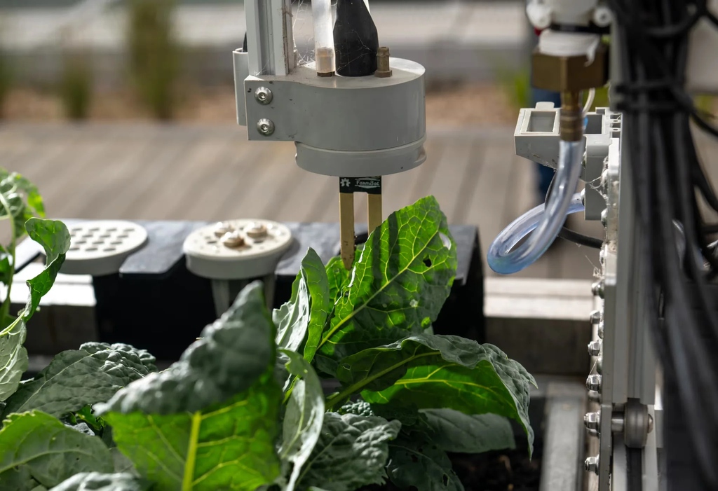 'Each FarmBot can be programmed to plant seeds, then irrigate them efficiently, spray for disease, and even record things such as temperature and growth rates. Combined with the soil sensors on the FarmBots, it lets us see exactly what each plant needs.' theguardian.com/food/2024/jan/…