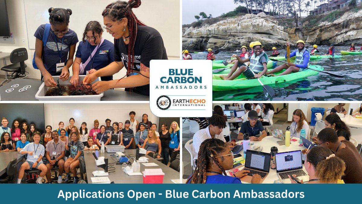 Applications are OPEN for our #BlueCarbon Ambassador program! This PAID opportunity is open to BIPOC youth ages 17-20 from coastal communities in North America. Lean more and apply by April 30 at: earthecho.org/blue-carbon-am…   #GenSea