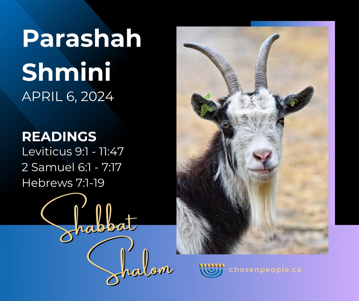 ChosenPeopleCA's tweet image. This Shabbat's Parashah (Scripture Reading) is called Shmini (Eighth).  Shabbat Shalom!  #shabbatshalom #shmini #eighth #parashah #Messianic #Yeshua #chosenpeople