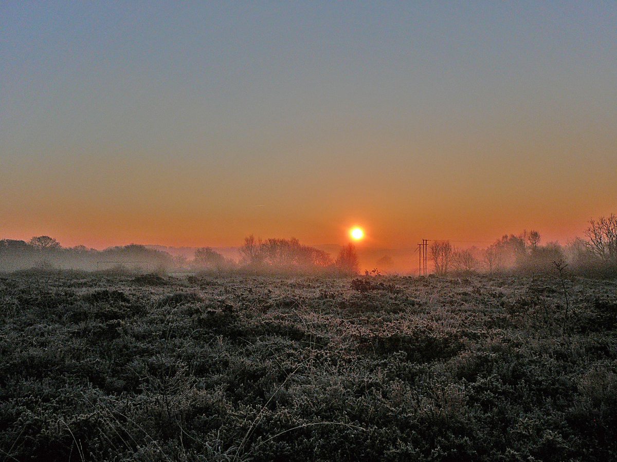 DevonWildlife's tweet photo. #ThanksToYou @NationalHighways through #Network4Nature, DWT plans to restore 38 hectares of lowland heath at Chudleigh Knighton Heath nature reserve.
The works will enhance habitat for the rare narrow-headed ant, as well as other species like nightjar and great crested newt. 1/2 https://t.co/tW4zIHjf6I