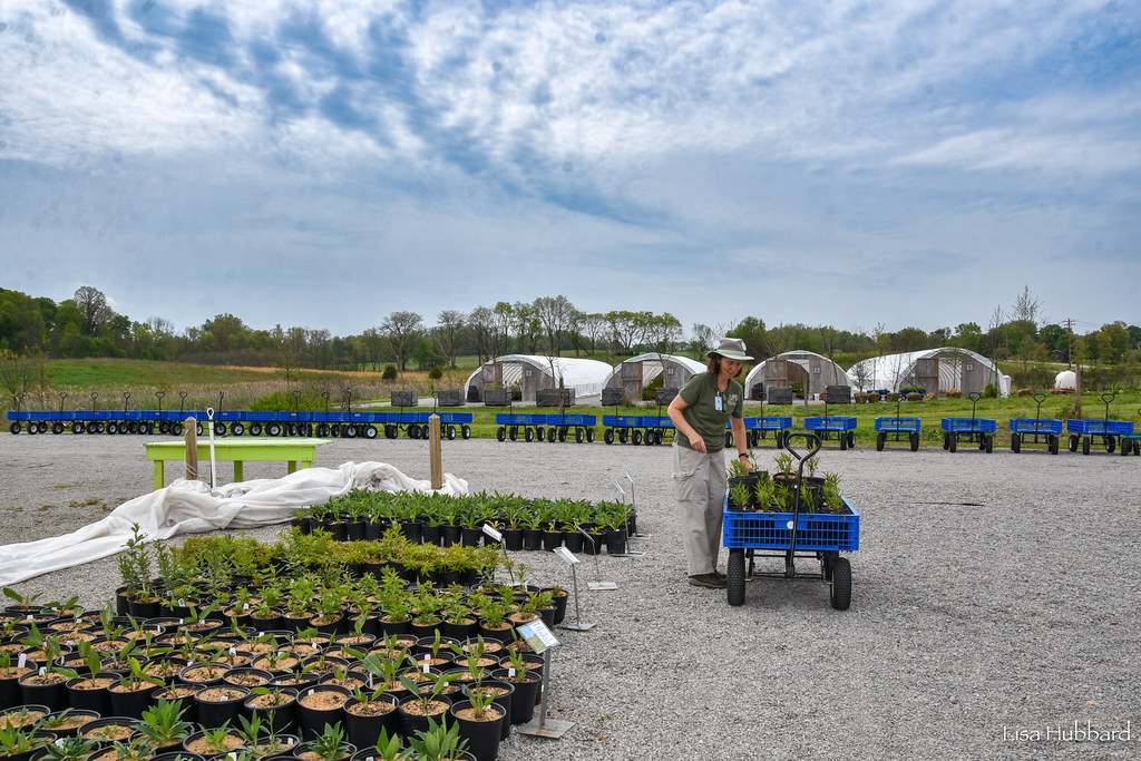 CincinnatiZoo's tweet image. Don't miss the Native Plant Sale at the Zoo’s Bowyer Farm on April 20! Reserve your spot for free: ow.ly/Ptnc50R8yqZ Brought to you by @klostermanbread