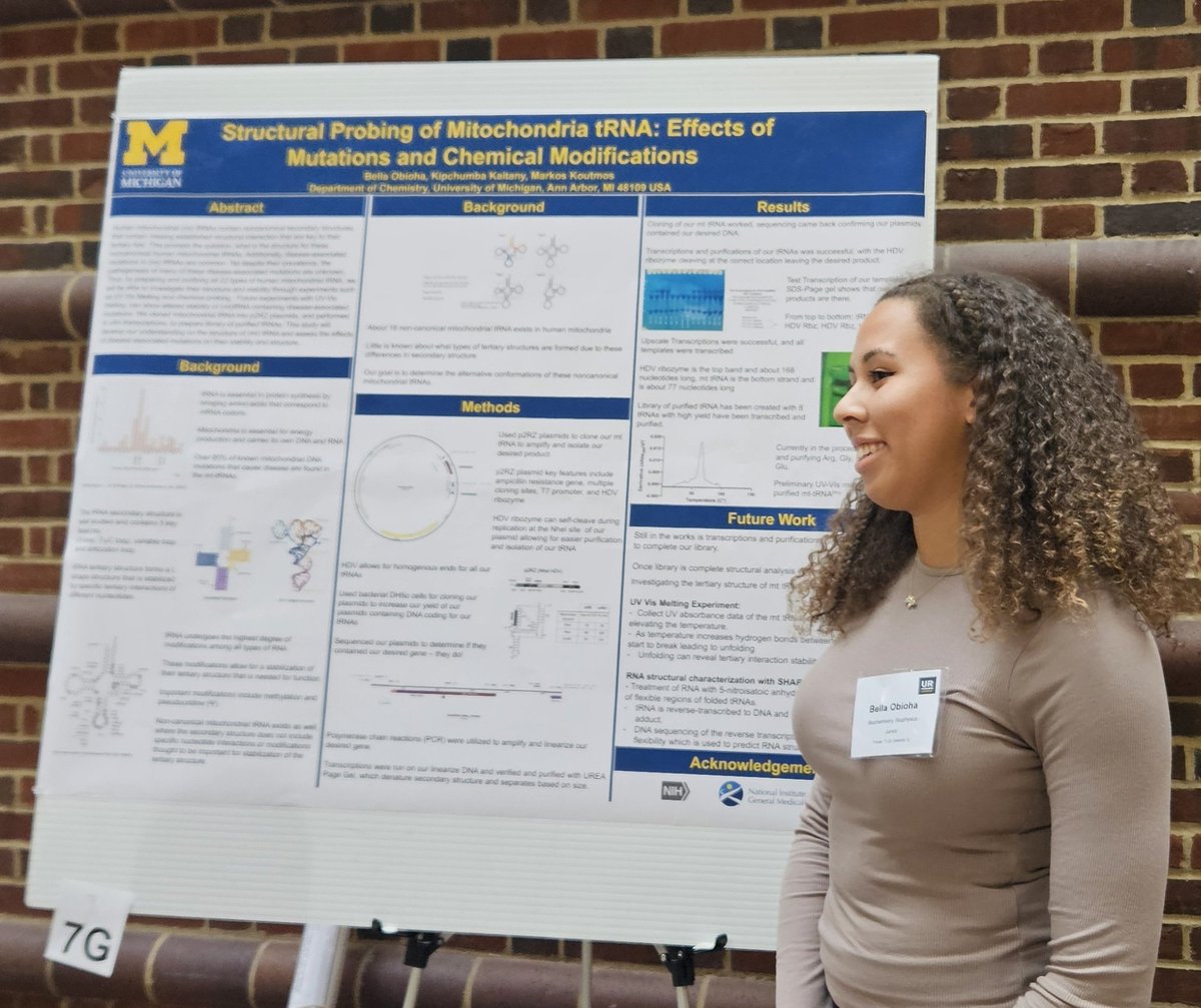 Koutmos Lab (@koutmoslab) on Twitter photo You can also check out Bella's poster showcasing her work making and characterizing mitochondrial tRNAs at the <a href="/URSymposium/">Undergraduate Research Symposium</a> in the <a href="/MichiganChem/">Michigan Chemistry</a> atrium! You can also check out Bella's poster showcasing her work making and characterizing mitochondrial tRNAs at the <a href="/URSymposium/">Undergraduate Research Symposium</a> in the <a href="/MichiganChem/">Michigan Chemistry</a> atrium!