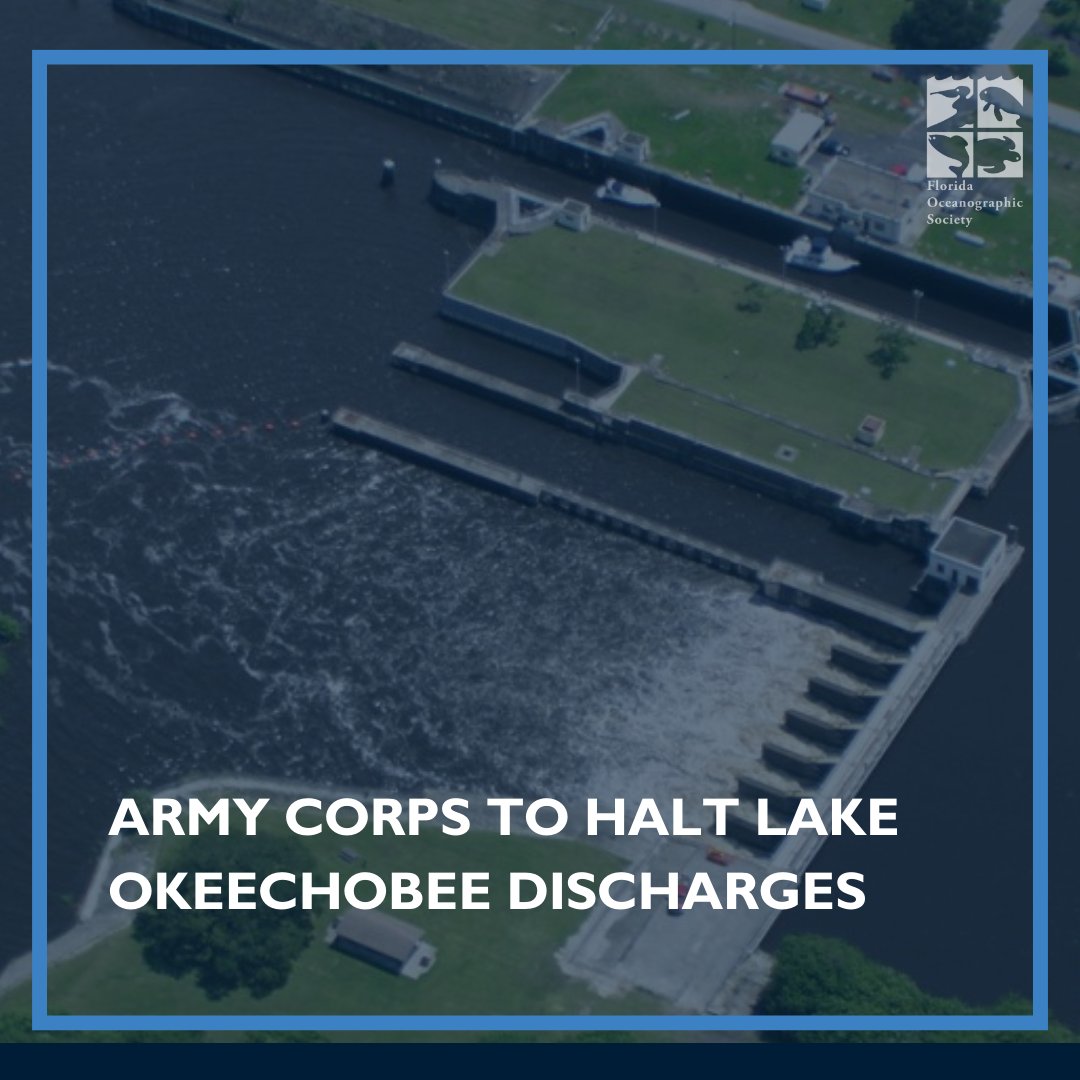 Army Corps to end Lake O discharges to St. Lucie Estuary. Our coast suffered for 6 weeks; time to stop. Grateful for community support. We must push for better water management. #StopTheDischarges #SaveOurEcosystem #ProtectOurCoast #EcoPreservation