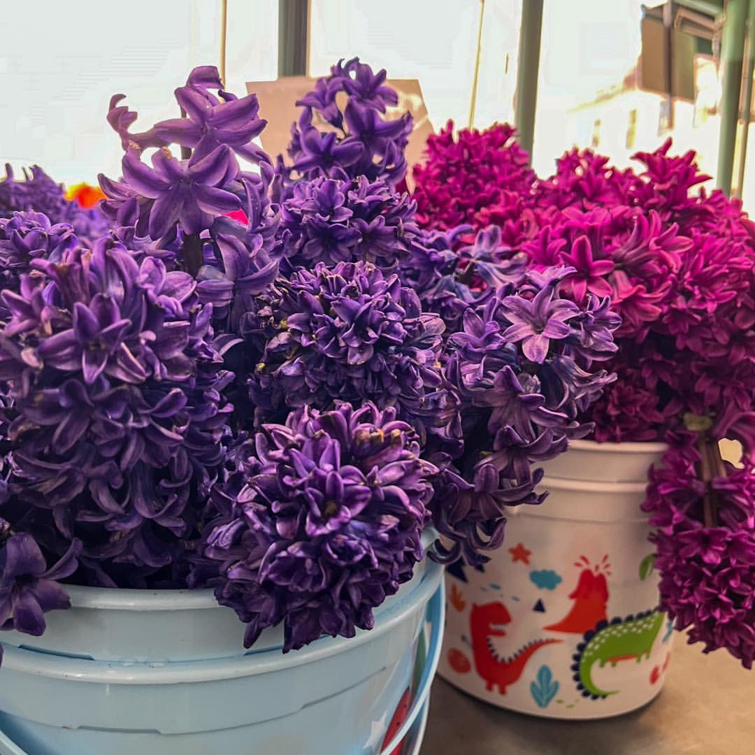 Happy Fresh Flower Friday! 👉 See a few bouquets recently spotted at #PikePlaceMarket. Right now, find tulips, daffodils, lilacs, and Sakura cherry blossoms in bouquets. 💐 Peony season is a little over 1 month away.